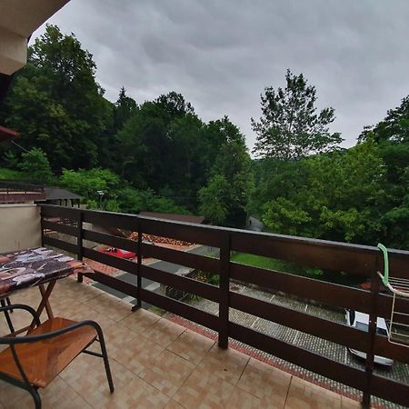Pensiunea Iasmina Si Pescarul Călimăneşti エクステリア 写真