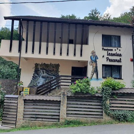 Pensiunea Iasmina Si Pescarul Călimăneşti エクステリア 写真