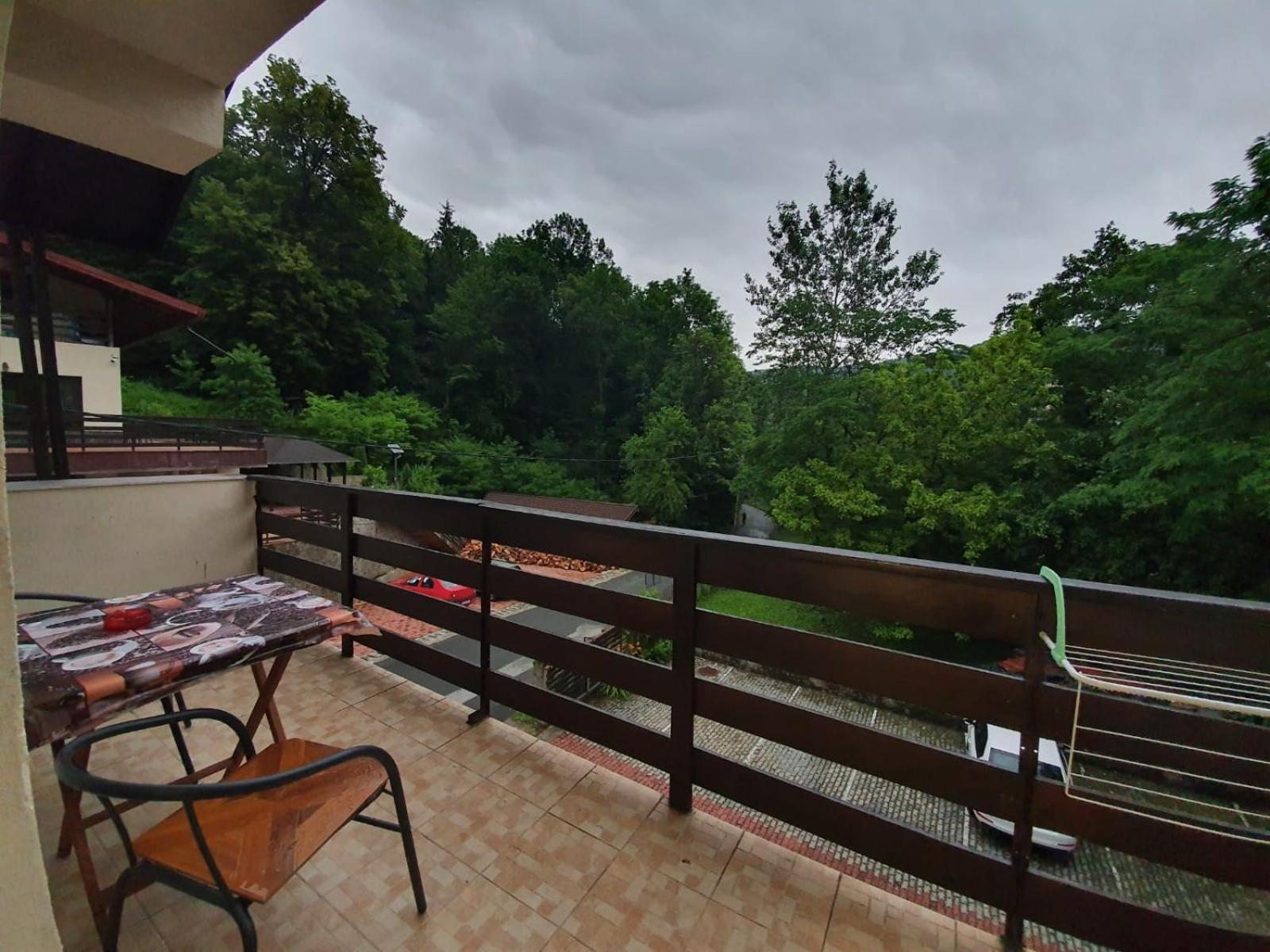 Pensiunea Iasmina Si Pescarul Călimăneşti エクステリア 写真