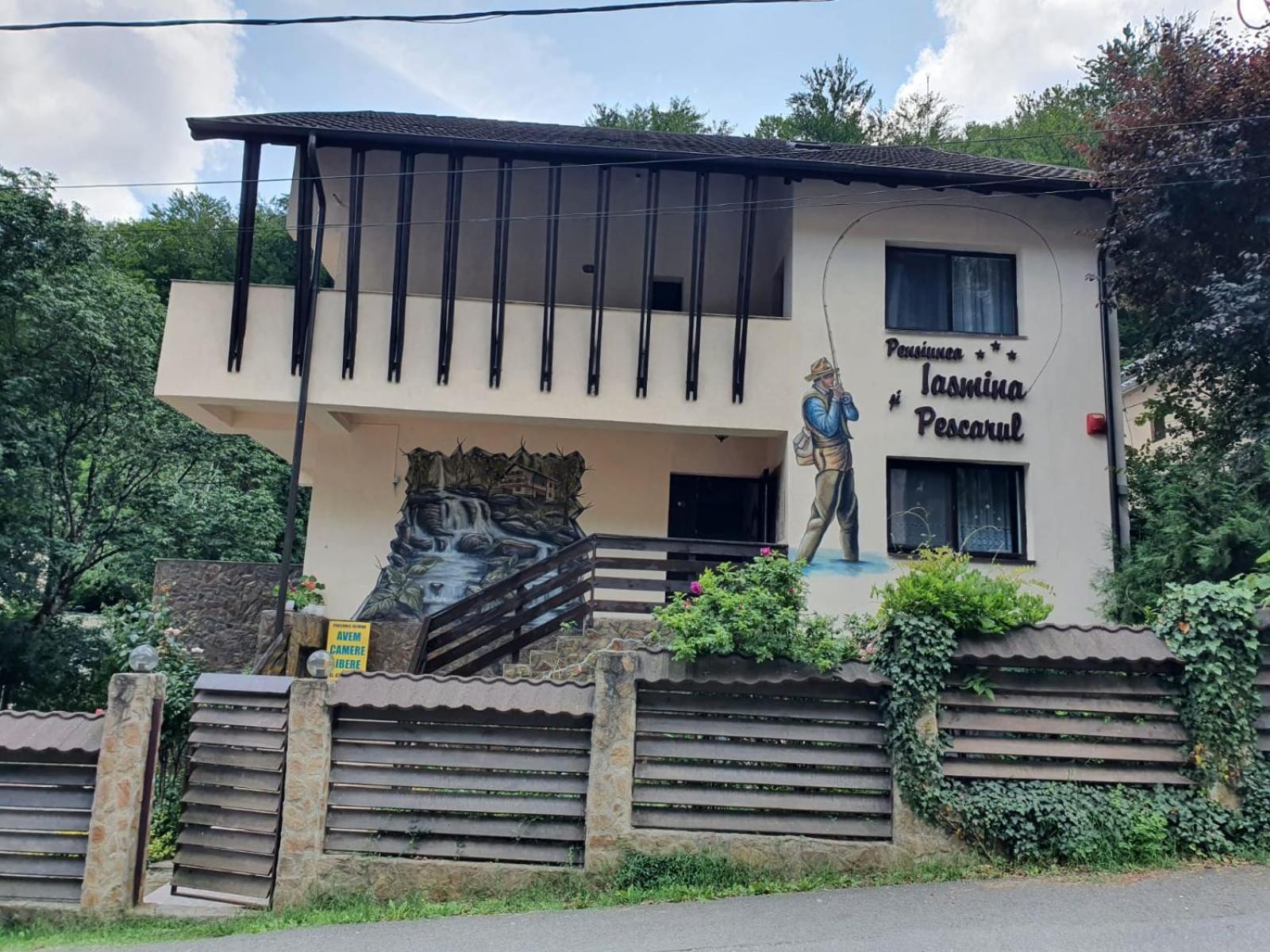 Pensiunea Iasmina Si Pescarul Călimăneşti エクステリア 写真