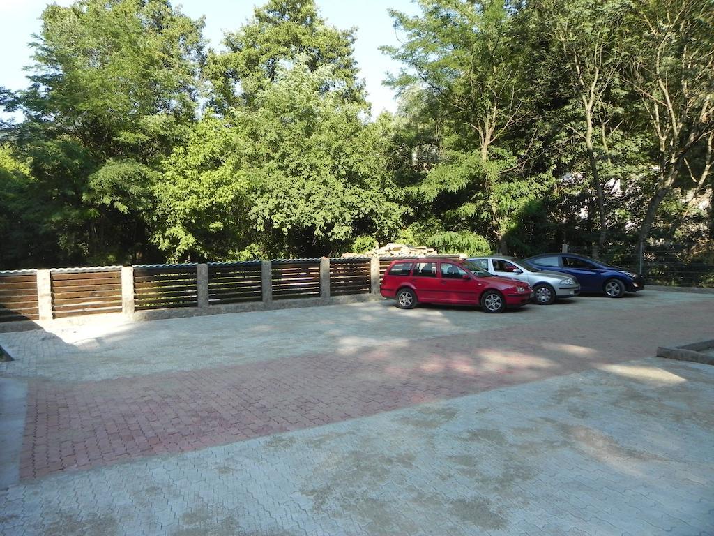 Pensiunea Iasmina Si Pescarul Călimăneşti エクステリア 写真
